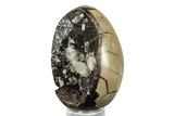 Septarian Dragon Egg Geode #253567-1